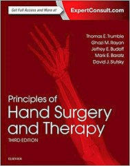 Papel Principles Of Hand Surgery And Therapy