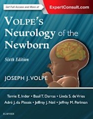 Papel+Digital Volpe'S Neurology Of The Newborn Ed.6º