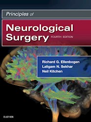 E-book Principles Of Neurological Surgery