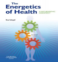 E-book The Energetics Of Health