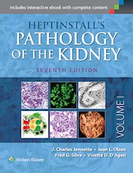 Papel Heptinstall'S Pathology Of The Kidney Ed.7