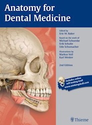 Papel Anatomy For Dental Medicine