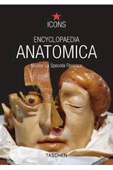 Papel Encyclopaedia Anatomica