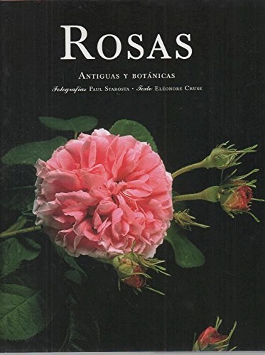 Papel Rosas, Antiguas Y Botanicas