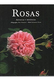 Papel Rosas, Antiguas Y Botanicas