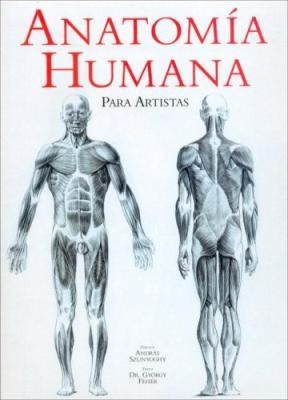Papel Anatomia Humana Para Artistas