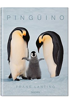 Papel Pingüino