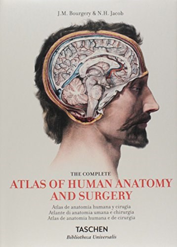 Papel Atlas De Anatomía Humana Y Cirugía