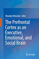 Papel The Prefrontal Cortex As An Executive, Emotional, And Social Brain