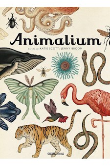 Papel Animalium