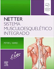 Papel Netter Sistema Musculoesquelético Integrado