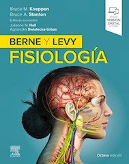 Papel Berne Y Levy. Fisiología