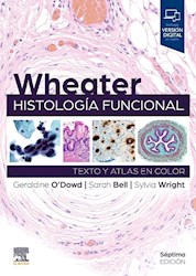 Papel Wheater. Histología Funcional Ed.7