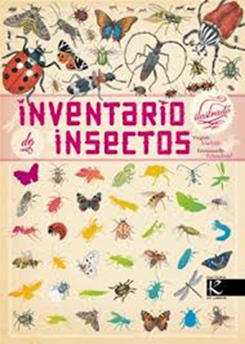 Papel Inventario Ilustrado De Insectos