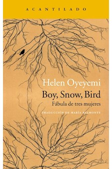 Papel Boy, Snow, Bird