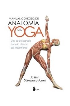 Papel Manual Conciso De Anatomia Del Yoga