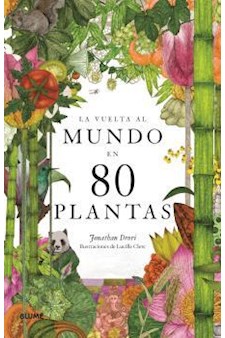 Papel La Vuelta Al Mundo En 80 Plantas