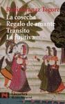 Papel Cosecha -  Regalo De Amante  - Transito - La Fujitiva