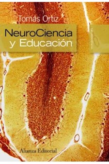 Papel Neurociencia Y Educacion