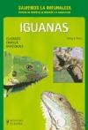 Papel Iguanas . Cuidados Crianza Variedades. (Salvemos La Naturaleza)