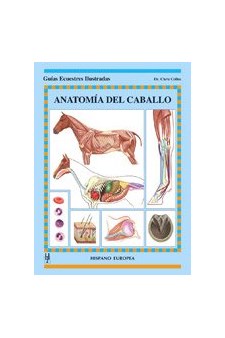 Papel Anatomia Del Caballo
