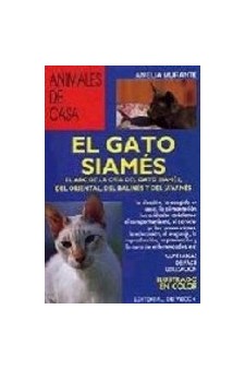Papel El Gato Siames - Animales De Casa