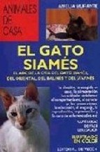 Papel El Gato Siames - Animales De Casa