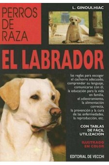 Papel El Labrador - Perros De Raza