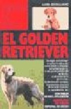 Papel El Golden Retriver - Perros De Raza