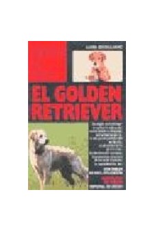 Papel El Golden Retriver - Perros De Raza