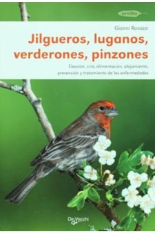 Papel Jilgueros, Luganos, Verderones, Pinzones - Animales En Casa
