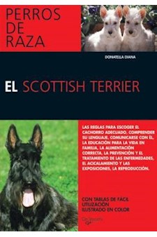 Papel El Scottish Terrier - Perros De Raza