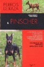 Papel Pinscher . Perros De Raza ,El
