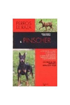 Papel Pinscher . Perros De Raza ,El