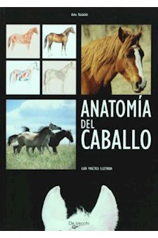 Papel Anatomia Del Caballo . Guia Practica Ilustrada