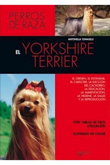 Papel El Yorkshire Terrier . Perros De Raza