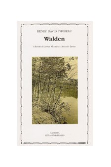 Papel Walden