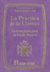 Papel Practica De Las Llamas (T) (Bols.)