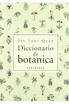 Papel Diccionario De Botanica