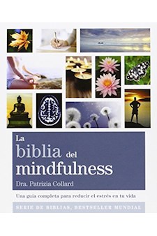 Papel Biblia Del Mindfulness