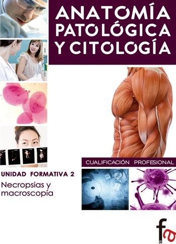 Papel Anatomia Patologica Y Citologia 2