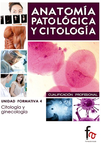 Papel Anatomia Patologica Y Citologia 4