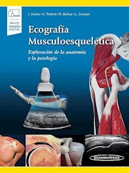 Papel Ecografía Musculoesquelética