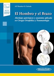 Papel El Hombro Y El Brazo