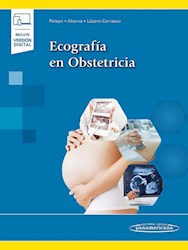 Papel Ecografía En Obstetricia