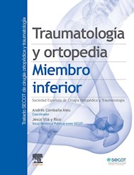 Papel Tratado Secot. Traumatología Y Ortopedia. Miembro Inferior