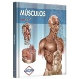 Papel Atlas De Musculos