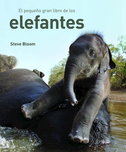 Papel El Pequeño Gran Libro De Elefantes