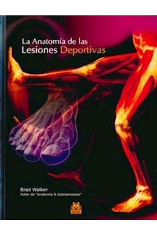 Papel Anatomia De Las Lesiones Deportivas