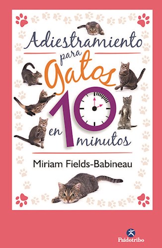 Papel Adiestramiento Para Gatos En 10 Minutos